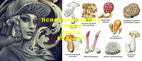 ECSTASY Алексин