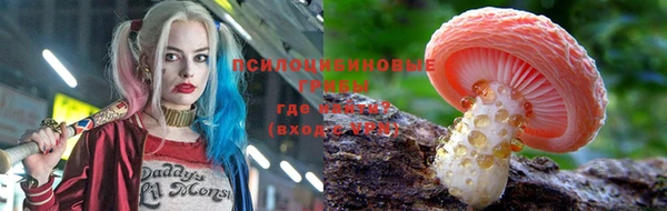 стаф Алексеевка