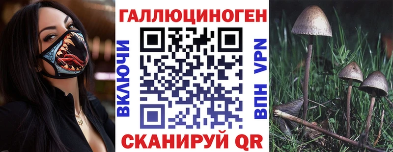 Галлюциногенные грибы GOLDEN TEACHER  omg зеркало  Феодосия 